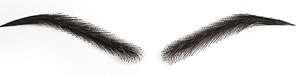 Eyebrow